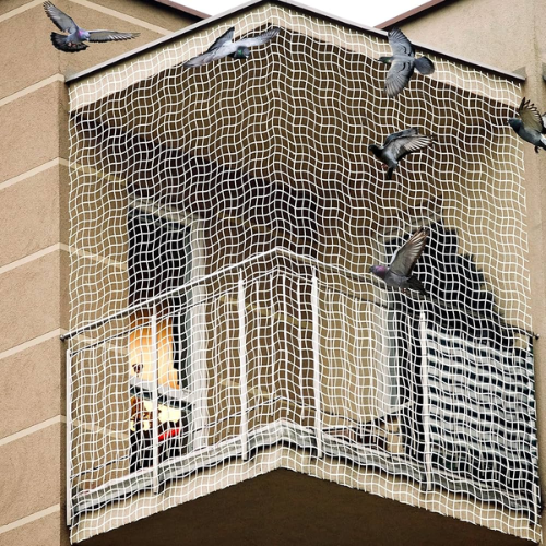 Fancy Bird Net